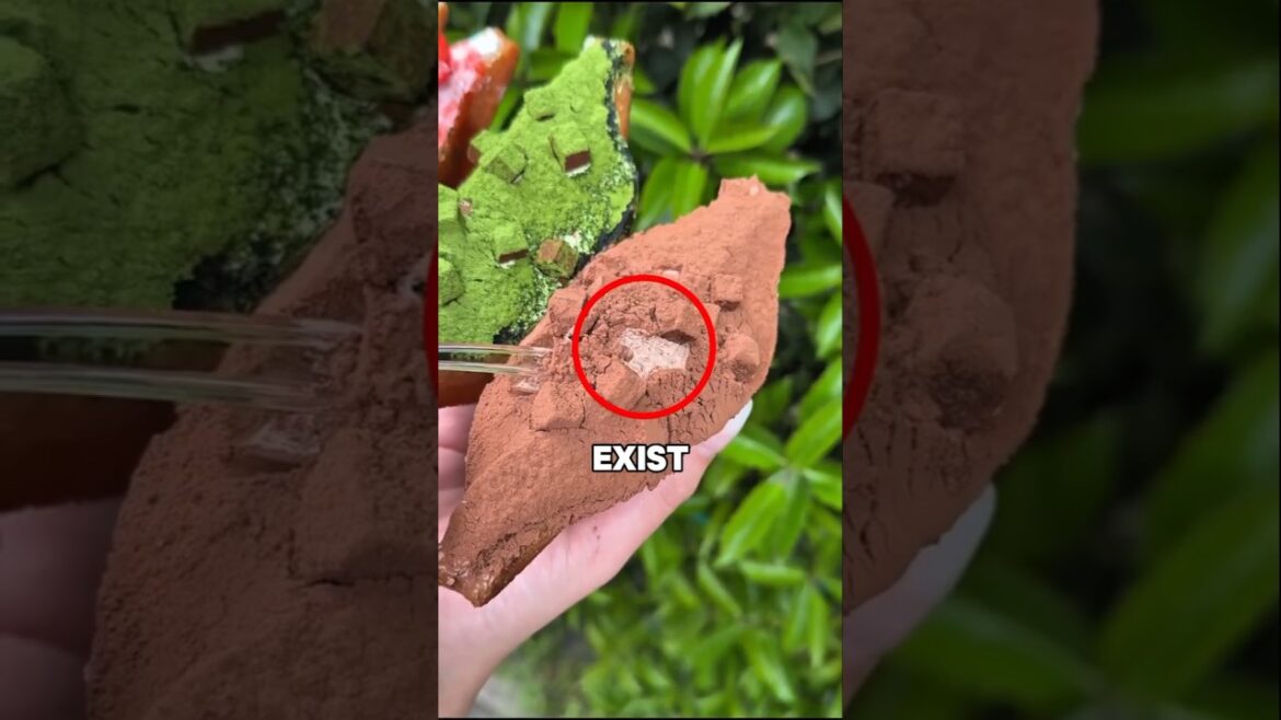 Things In Japan That Are Totally Brilliant 🧠🇯🇵 #japanlife #japantravel #japan Things In Japan That Are Totally Brilliant 🧠🇯🇵 #japanlife #japantravel #japan