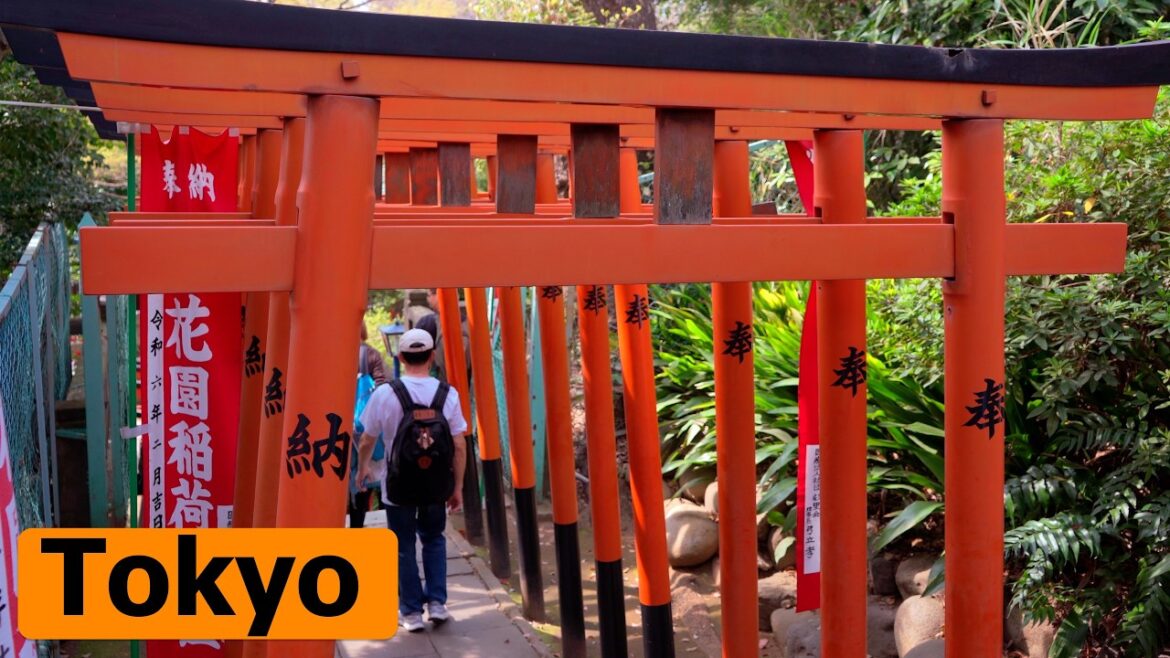 Japan S3E1: Sakura in Tokyo