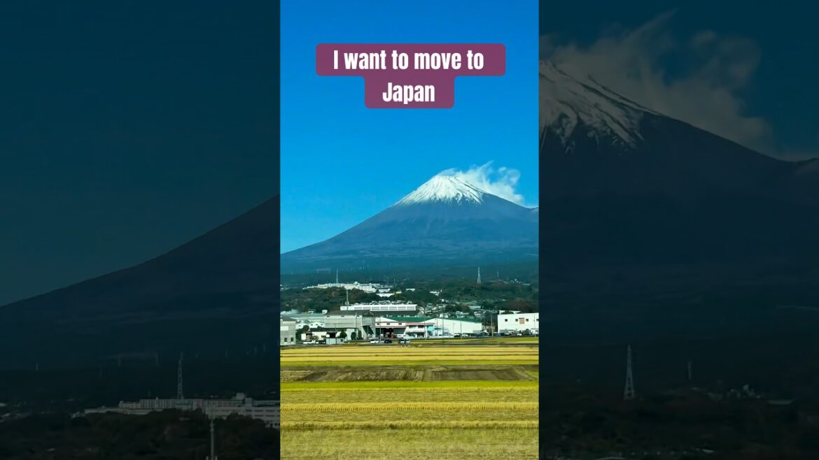 Looking at Mount Fuji every day on the way to work #japan #fuji