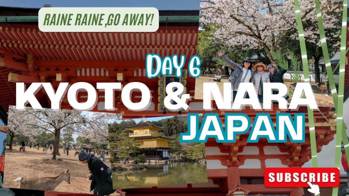 DAY 6 | DAY TRIP AT KYOTO AND NARA DURING SPRING SEASON ๐ฏ๐ต | LORAINE LALLAVE DAY 6 | DAY TRIP AT KYOTO AND NARA DURING SPRING SEASON ๐ฏ๐ต | LORAINE LALLAVE