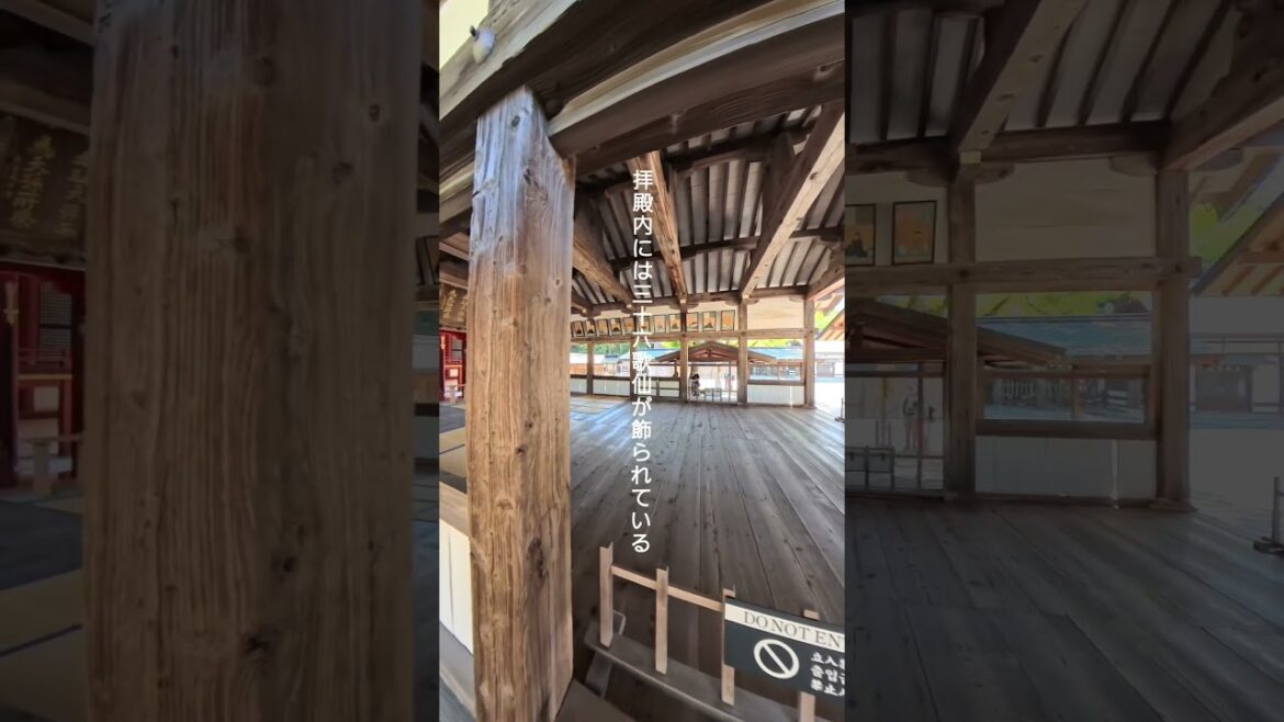 福岡県宗像市【宗像大社辺津宮】宗像三女神を奉る由緒ある大社 #旅行 #観光 #神社仏閣