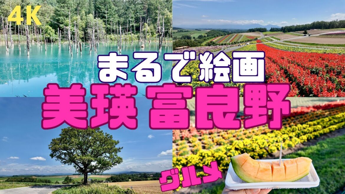 【4K】美瑛・富良野/絵画のような青空と大地を巡る旅(モデルコース/グルメ/青い池/四季彩の丘/白ひげの滝/ファーム富田/望岳台/サホロベアマウンテン/ぽっぽやロケ地) 【4K】美瑛・富良野/絵画のような青空と大地を巡る旅(モデルコース/グルメ/青い池/四季彩の丘/白ひげの滝/ファーム富田/望岳台/サホロベアマウンテン/ぽっぽやロケ地)