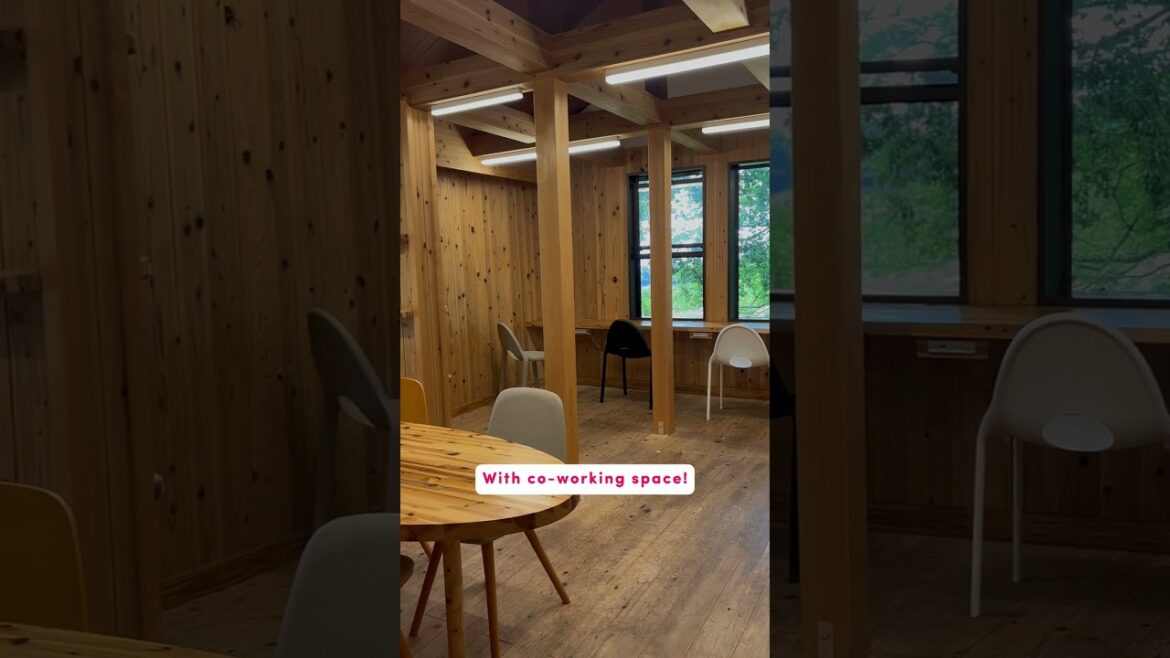 This is what camping INSIDE a Japanese National Park looks like! 🏕️ This is what camping INSIDE a Japanese National Park looks like! 🏕️