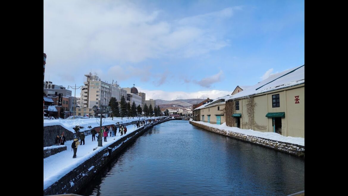 Japan Winter Tour 26 December 2024 - 10 December 2025 - Day 14 Otaru