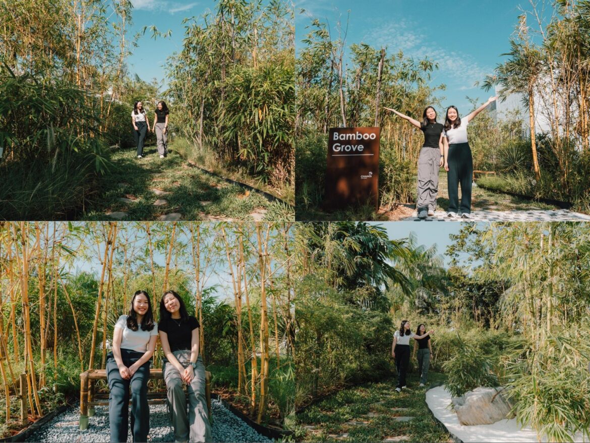 Singapore’s Changi Airport has a New Kyoto-Inspired Bamboo Grove with Free 24-Hour Entry Singapore’s Changi Airport has a New Kyoto-Inspired Bamboo Grove with Free 24-Hour Entry