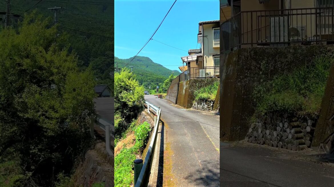 A Midsummer Landscape Brimming with Greenery: Fukagawa, Minamata, Kumamoto #japanesecountryside