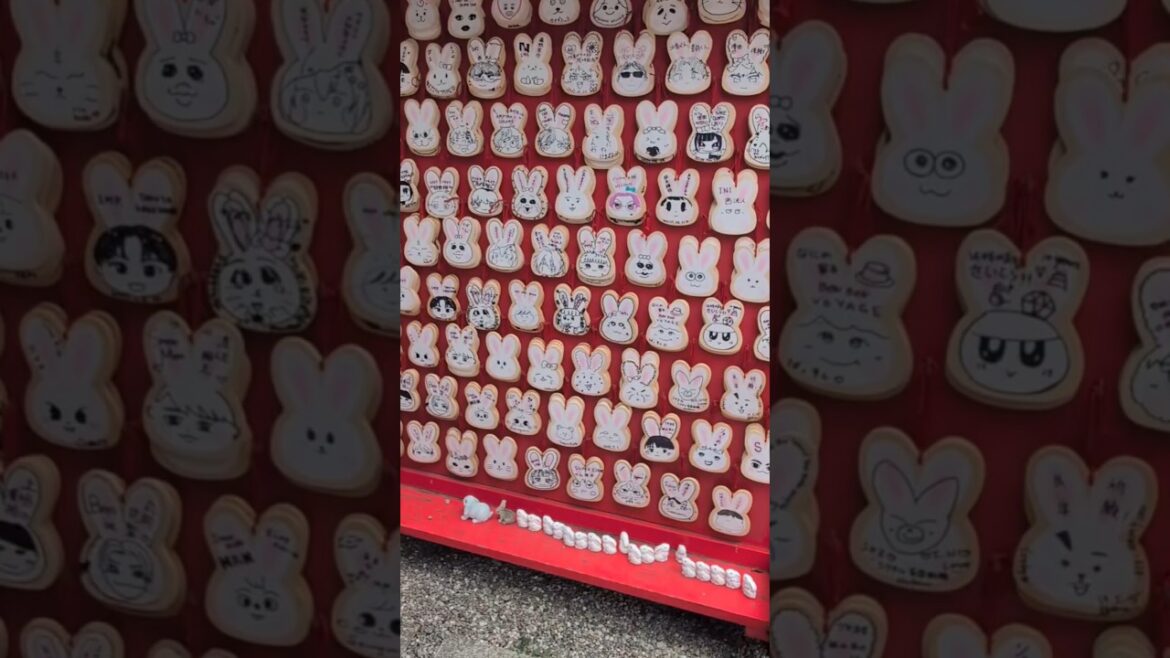 जापान की सबसे क्यूट श्राइन 🐇 Bunny shrine in Japan