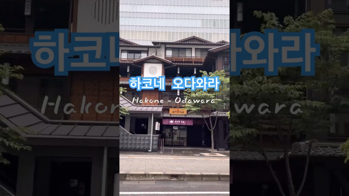 날씨요정 휴가갔나? #하코네 #오다와라 #전차타고 #모녀여행 #일본여행 #hakone #odawara #japan2025 #hakonelooptour