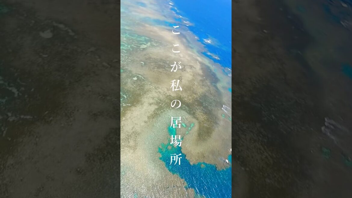 File.40 世界に誇れる沖縄の景色　ここが私の居場所　名護市嘉陽にある自然のビーチ🏖