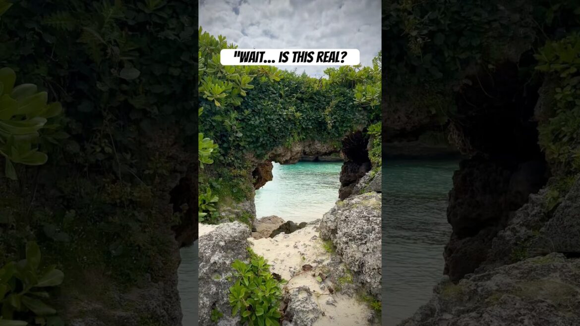 “Wait… is this real?  #viralvideo #travel #okinawa #fyp #viralshorts