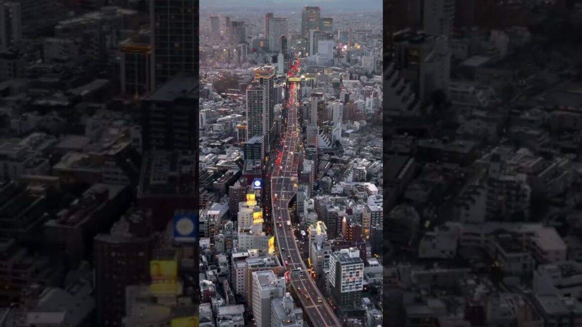 Tokyo city view 🇯🇵 #tokyo #japan #tokyotravel #automobile #travel