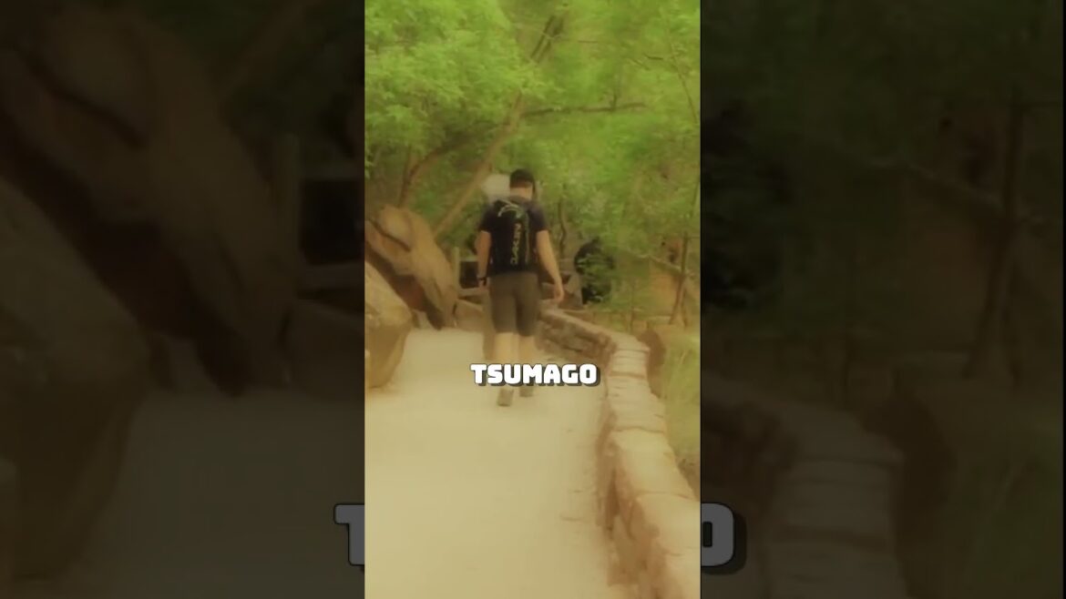 Hiking the Nakasendo: A Journey Through Feudal Japan #shorts Hiking the Nakasendo: A Journey Through Feudal Japan #shorts