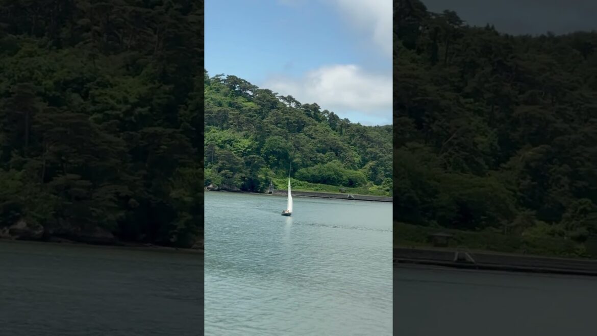 The famous Matsushima bay in Japan! 松島のボートライド！