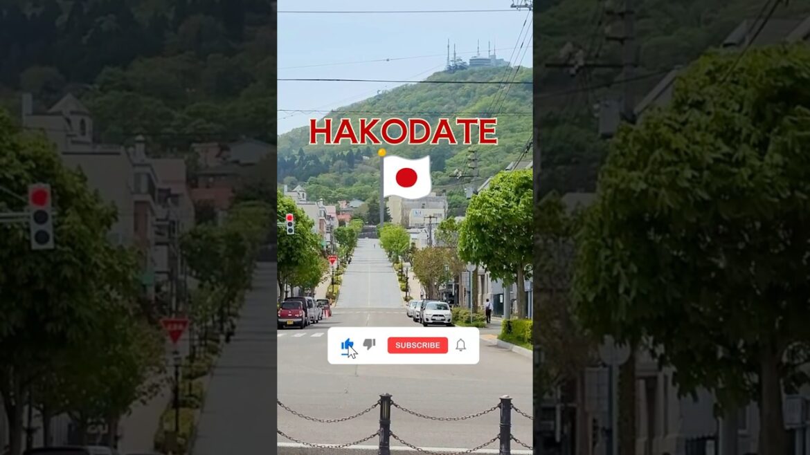 This Hidden Gem in Hokkaido Is Worth the Trip 🚋