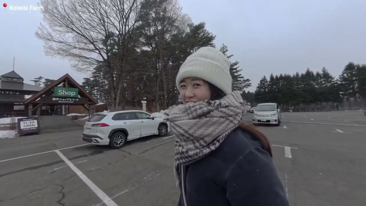 Japan Trip 2024 Day 4 (Morioka to Aomori)