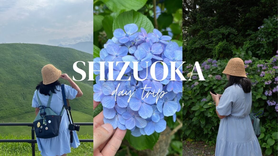 Day trip to Shizuoka during solo trip to Japan vlog - a relaxing, laidback trip to rural Japan