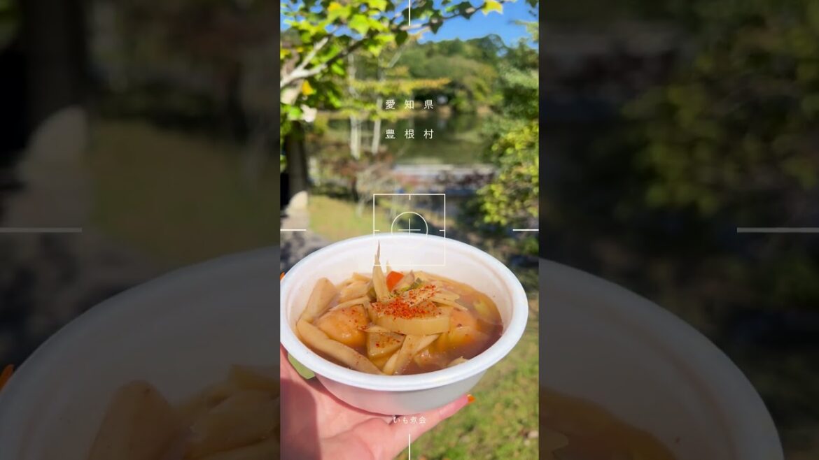 愛知のてっぺん、豊根村 #shorts