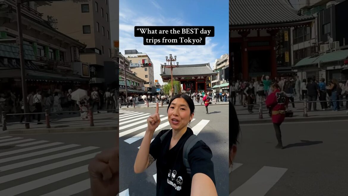 3 BEST Day Trips From TOKYO!