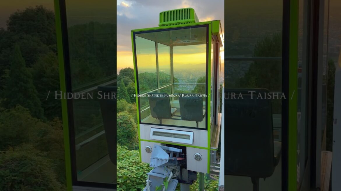 Hidden Shrine in Fukuoka: Koura Taisha #japan #fukuoka