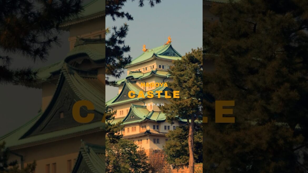 Pov when you go to #nagoya  #castle  during #spring