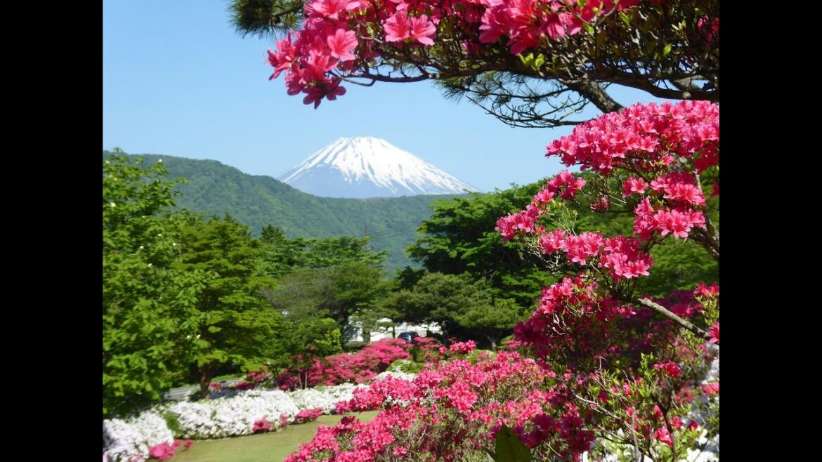Japan Part I: Mountains, Shrines & National Parks Japan Part I: Mountains, Shrines & National Parks