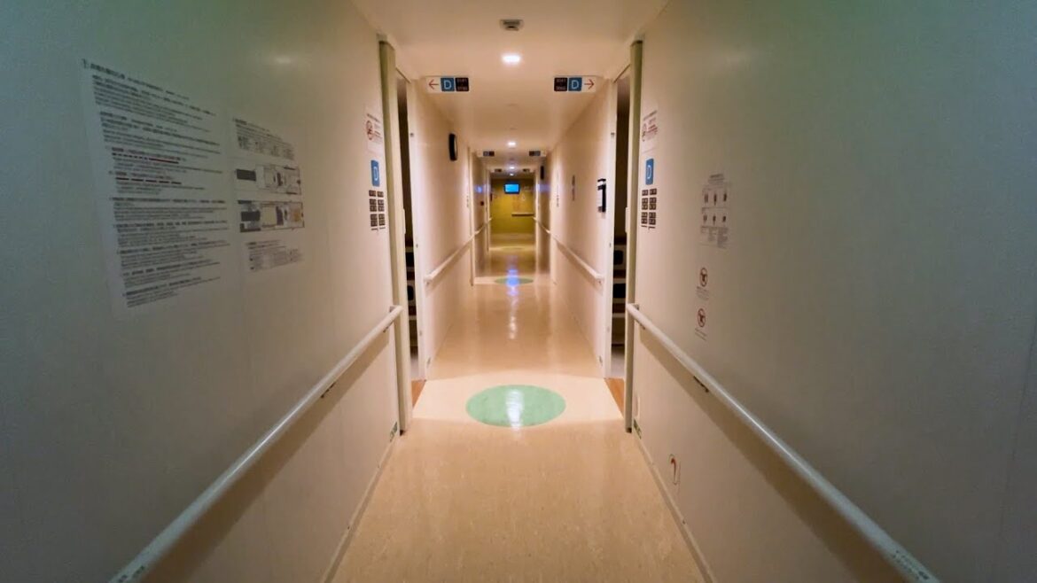 12-Hour Night Ferry Journey in Japan: Miyazaki to Kobe to Save on Accommodation 12-Hour Night Ferry Journey in Japan: Miyazaki to Kobe to Save on Accommodation