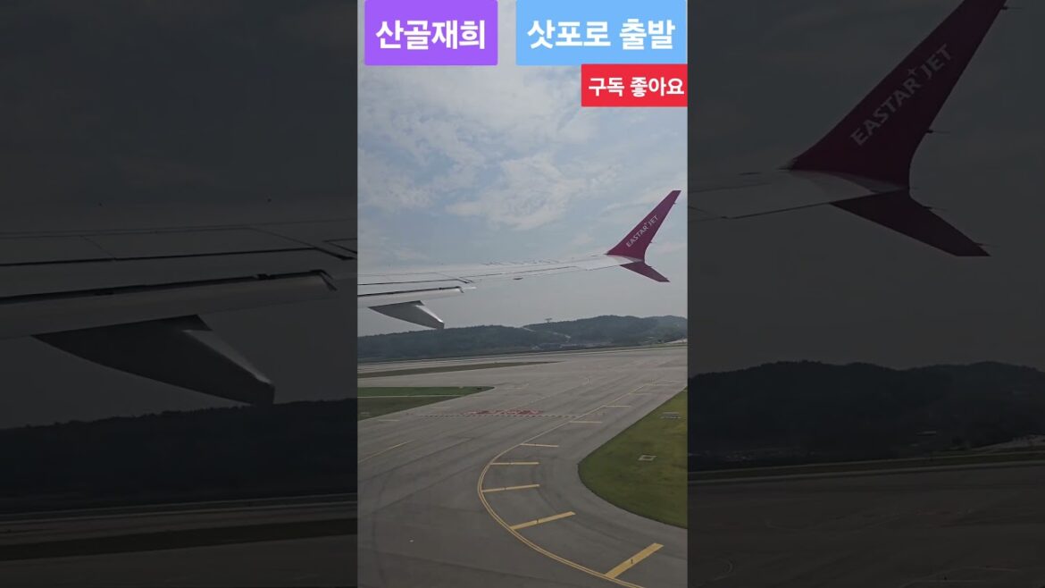 다같이 삿포로로 떠나요 (Let's all go to Sapporo) #여행 #travel #like #shorts