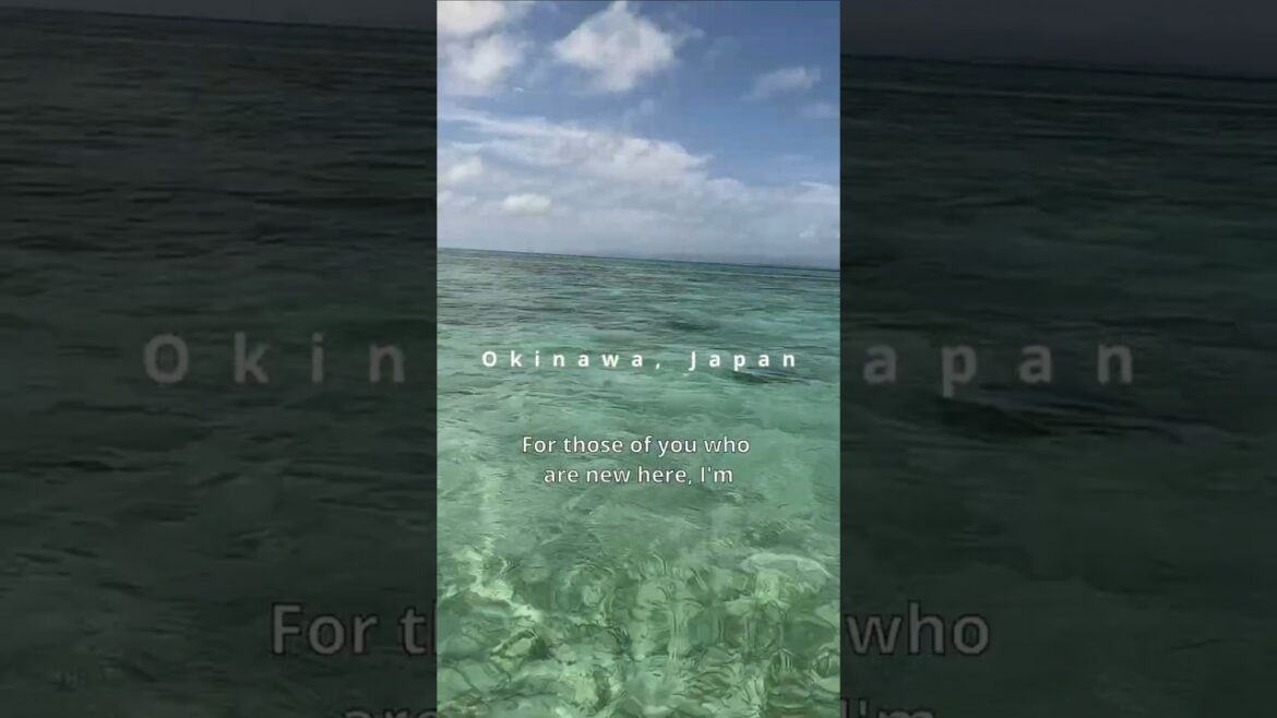 π―π΅π Hidden gems in Japan: Taketomi Island π―π΅π Hidden gems in Japan: Taketomi Island