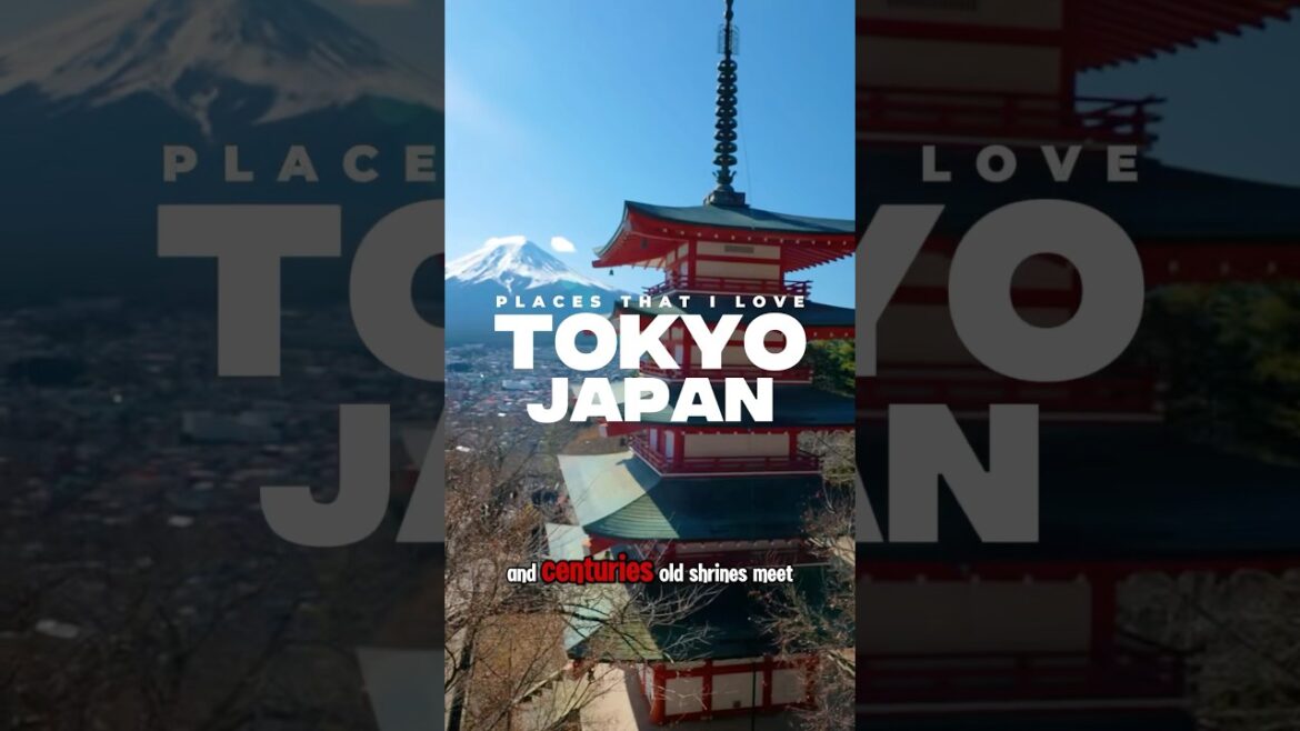 Top 5 Places To Visit in Tokyo, Japan π―π΅β©οΈπ»π Top 5 Places To Visit in Tokyo, Japan π―π΅β©οΈπ»π