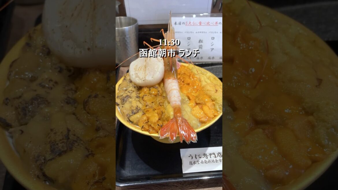 【初日から大満足】函館朝市〜湯の川温泉モデルコース紹介 #shorts 【初日から大満足】函館朝市〜湯の川温泉モデルコース紹介 #shorts