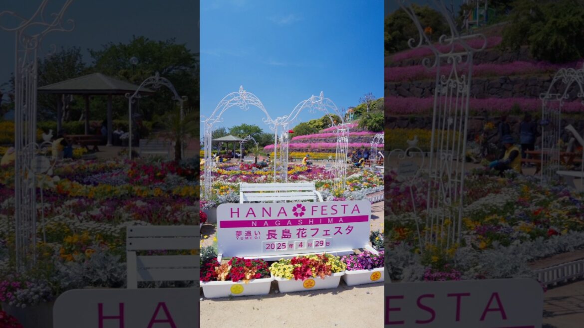 Flower Festival Nagashima Island, Japan #長島花フェスタ #flowerfestival #花