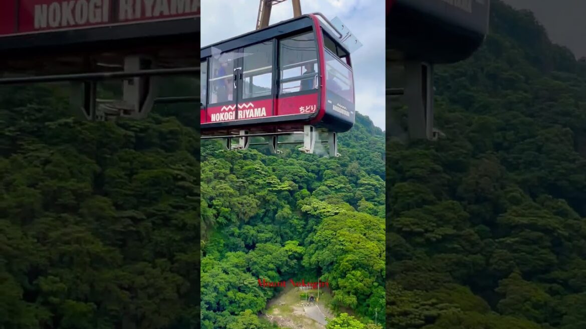 Mount Nokogiri ropeway chiba #mountains #ropewayride #chiba