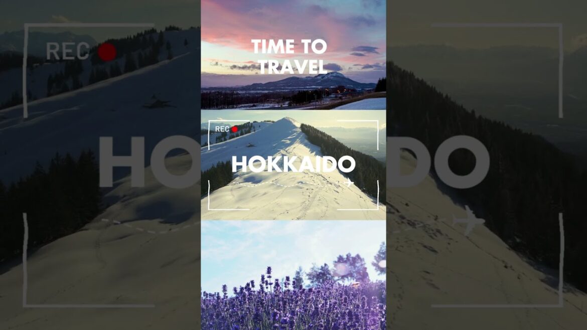 Travel to Hokkaido #travel #Japan #Hokkaido #journey #video #shorts
