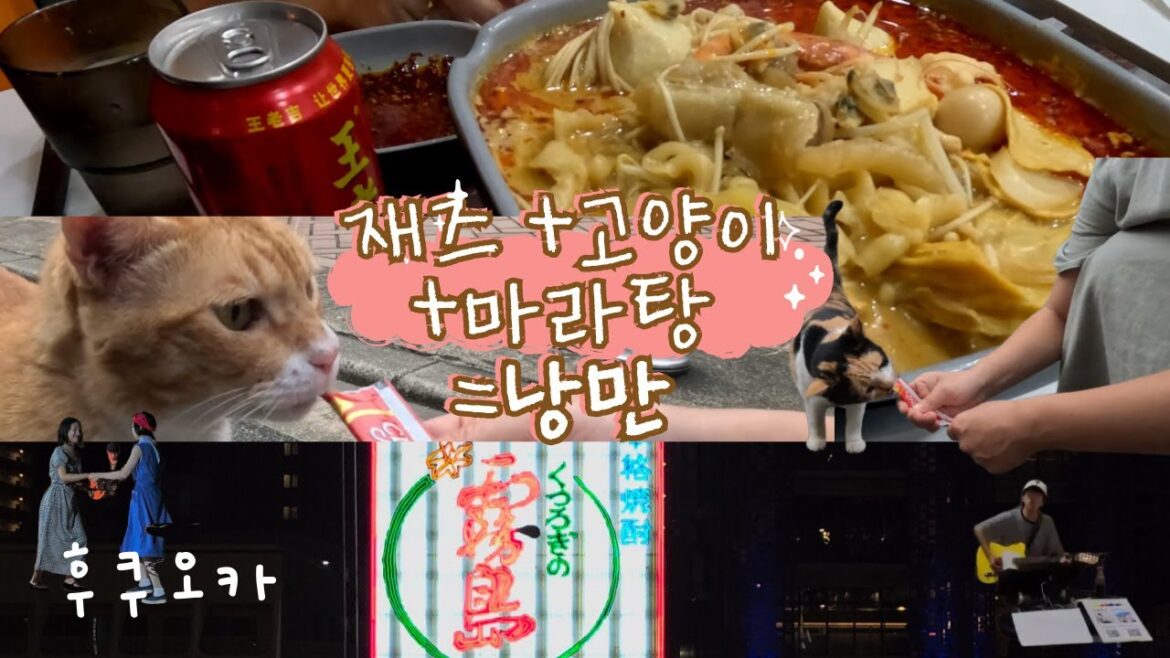 후쿠오카 2년 살이의 밤 데이트 코스 | 고양이+마라탕+재즈 = “낭만” 아닙니까? 후쿠오카 2년 살이의 밤 데이트 코스 | 고양이+마라탕+재즈 = "낭만" 아닙니까?