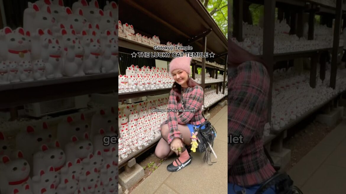 The lucky cat temple in Japan 🐱🍀✨ #gotokujitemple #luckycattemple #japantips #japantravel #tokyo