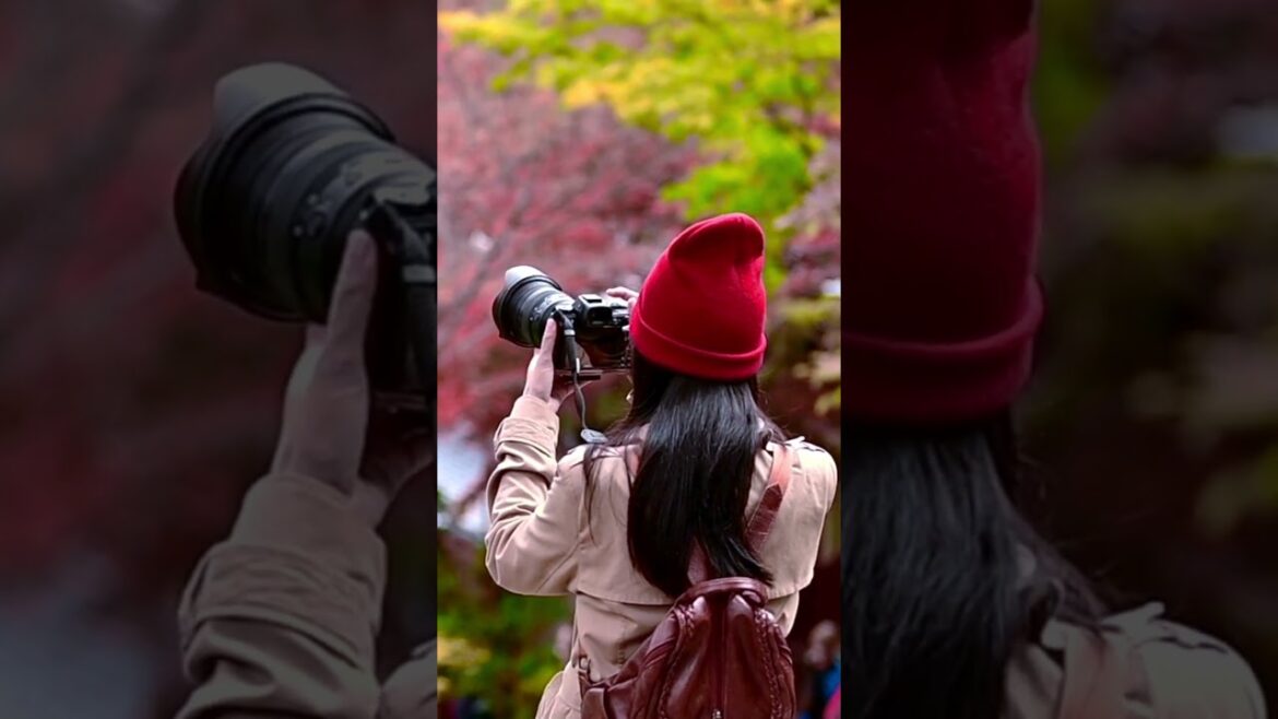 Beautiful Japan – Land of Tradition & Wonders #japan