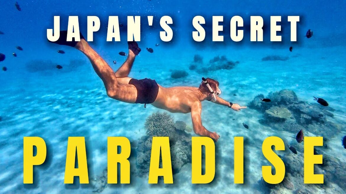 Japan’s Hidden TROPICAL Paradise Revealed! Zamami, OKINAWA Japan’s Hidden TROPICAL Paradise Revealed! Zamami, OKINAWA
