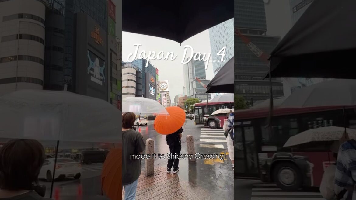 Japan Day 4 | Shibuya, Daikanyama, and Ebisu! Coffee shops and shopping are great for rainy days 🌧️