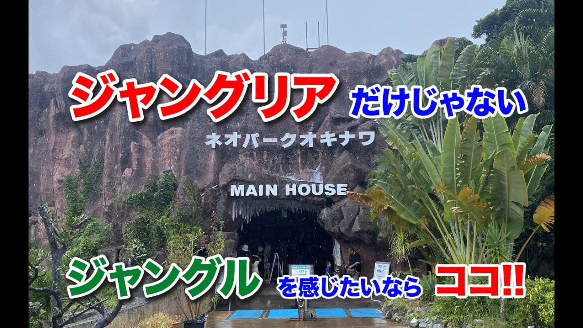 【ネオパークオキナワ】ジャングリアだけじゃない、熱帯のジャングルを感じたいならココ。新しいエリアが追加されました。 【ネオパークオキナワ】ジャングリアだけじゃない、熱帯のジャングルを感じたいならココ。新しいエリアが追加されました。