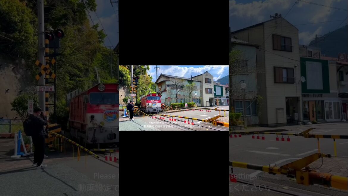 Japan's Unexplored Region | Green Lake inShizuoka #dalimsharma #assamtezpur #gta5_fivem_tricks