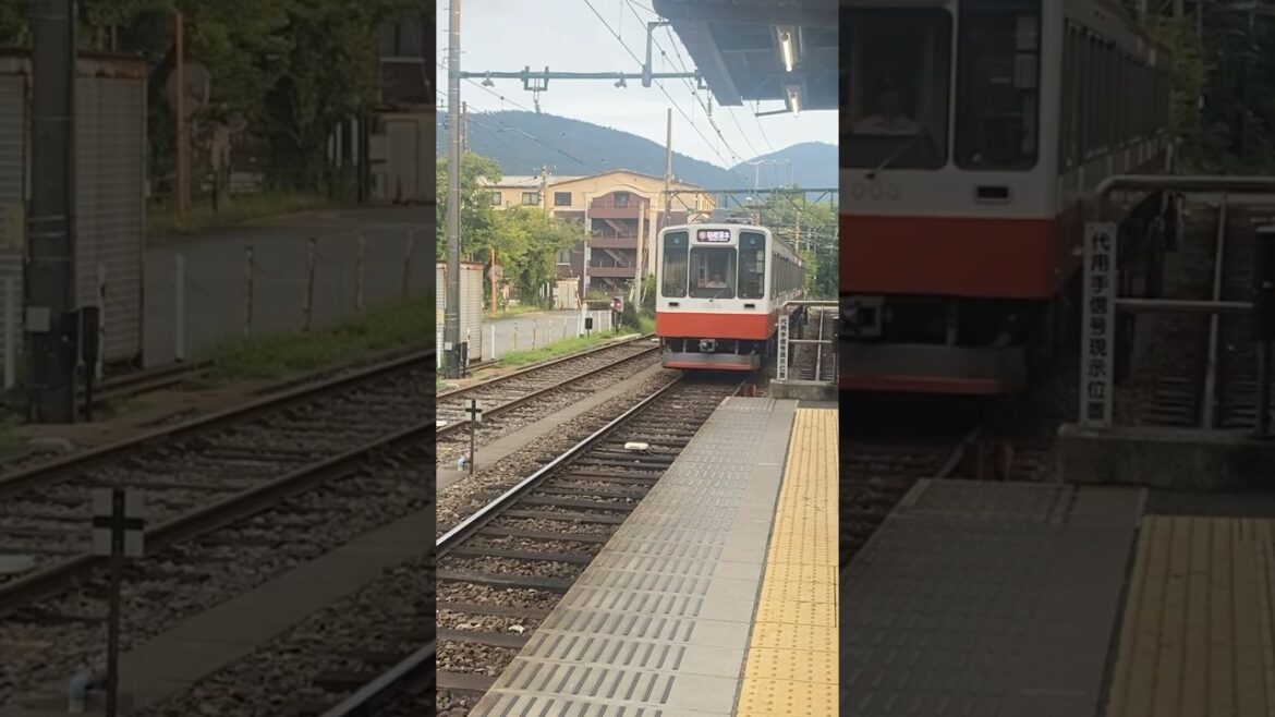 Hakone Mountain Train in Japan 🇯🇵 #japan #travel #japantrains #hakone