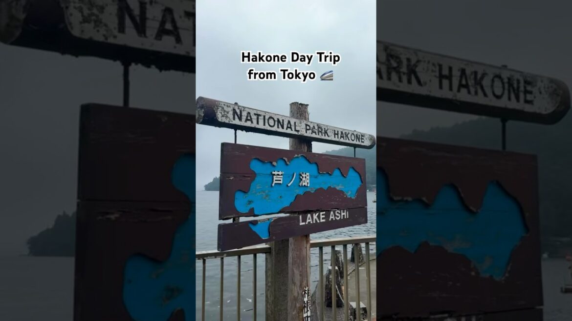 Rode a 75-min train from Shinjuku to marvel at the misty Lake Ashi in Hakone. #Japan #hakone