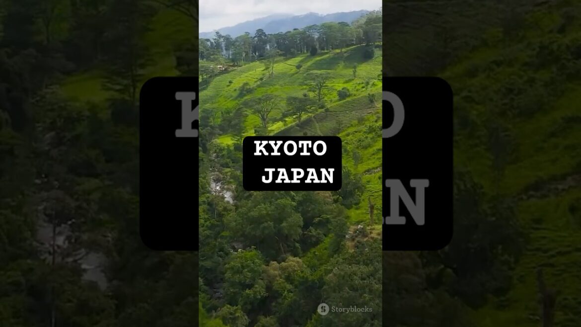 This Is Kyoto, Japan π | Travel in 60 Seconds #shorts This Is Kyoto, Japan π | Travel in 60 Seconds #shorts
