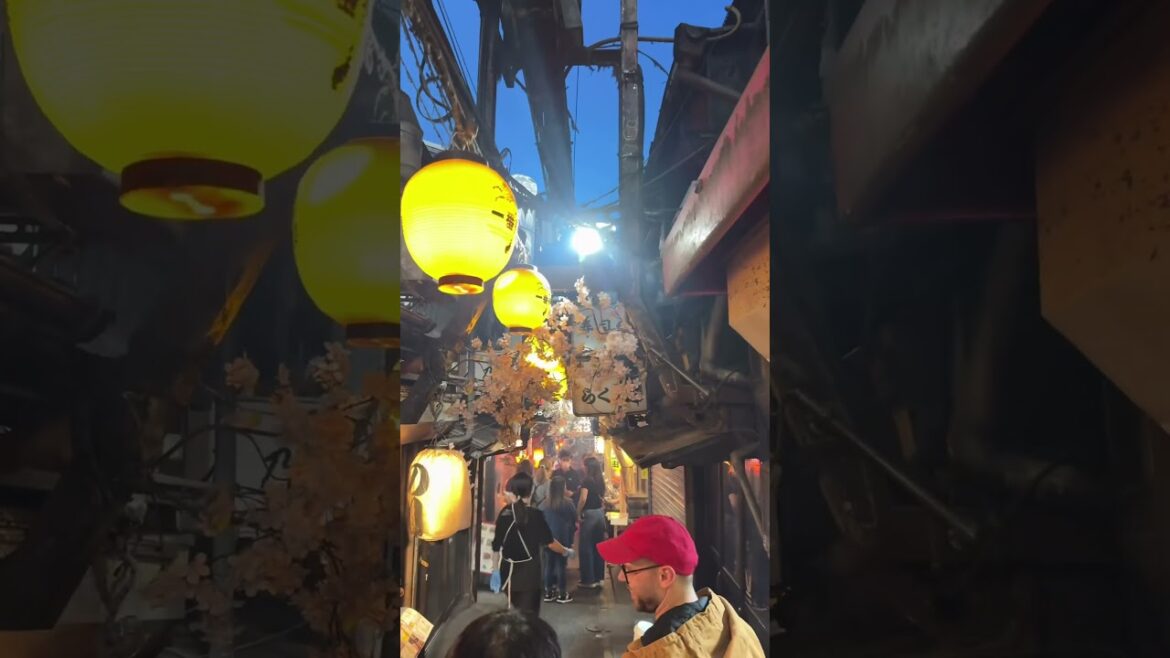 It was a pleasure #solotravel #travel #japantravel #travelvlog #tokyo #japan