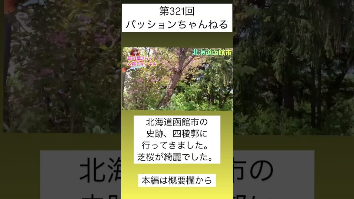 #北海道 #函館 #史跡 #四稜郭 #お花見スポット #芝桜 #japan #観光スポット #旅行動画 #一人旅 #travel #北海道観光 #北海道旅行 #hokkaido #shorts #北海道 #函館 #史跡 #四稜郭 #お花見スポット #芝桜 #japan #観光スポット #旅行動画 #一人旅 #travel #北海道観光 #北海道旅行 #hokkaido #shorts