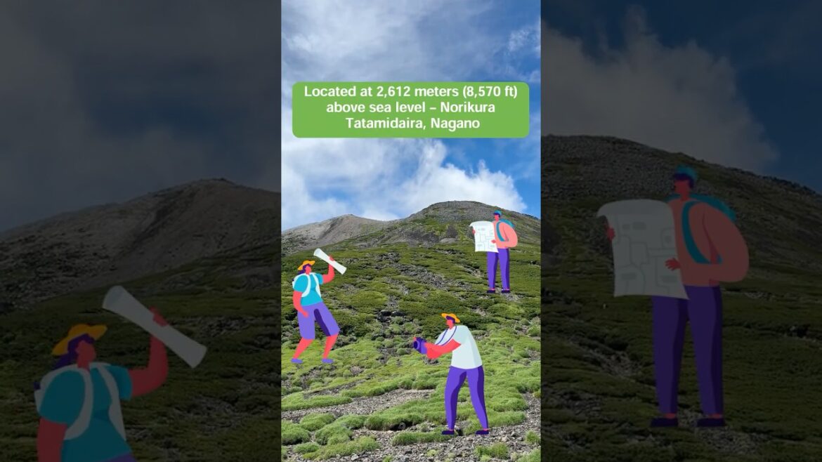 Located at 2,612 meters (8,570 ft) above sea level – Norikura Tatamidaira, Nagano Located at 2,612 meters (8,570 ft) above sea level – Norikura Tatamidaira, Nagano