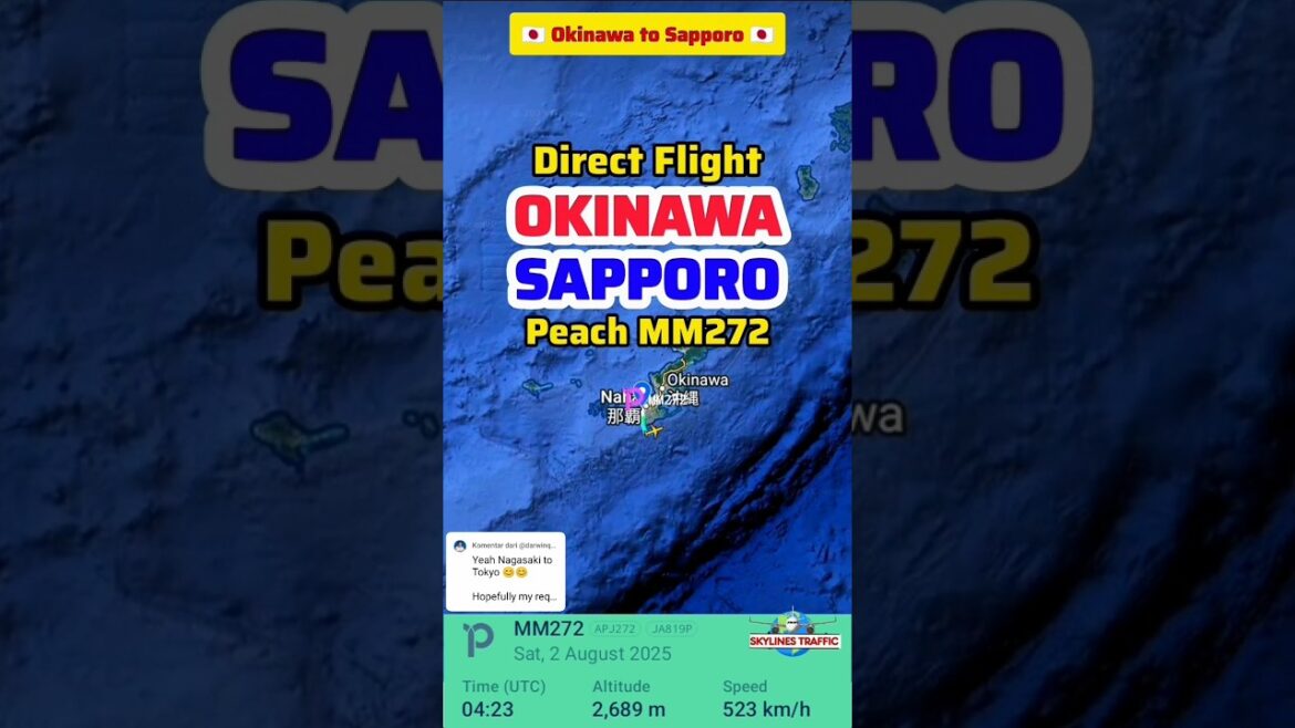 âī¸ Okinawa to Sapporo | Japan Domestic Flight Routes đ¯đĩ | 2-8-2025 #aviation #airtraffic #airplane âī¸ Okinawa to Sapporo | Japan Domestic Flight Routes đ¯đĩ | 2-8-2025 #aviation #airtraffic #airplane