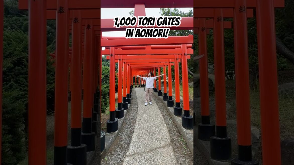 We Found a Shrine in Aomori with 1000 Gates and No Tourists! #travel #vlog #travelvlog #japan#shorts We Found a Shrine in Aomori with 1000 Gates and No Tourists! #travel #vlog #travelvlog #japan#shorts