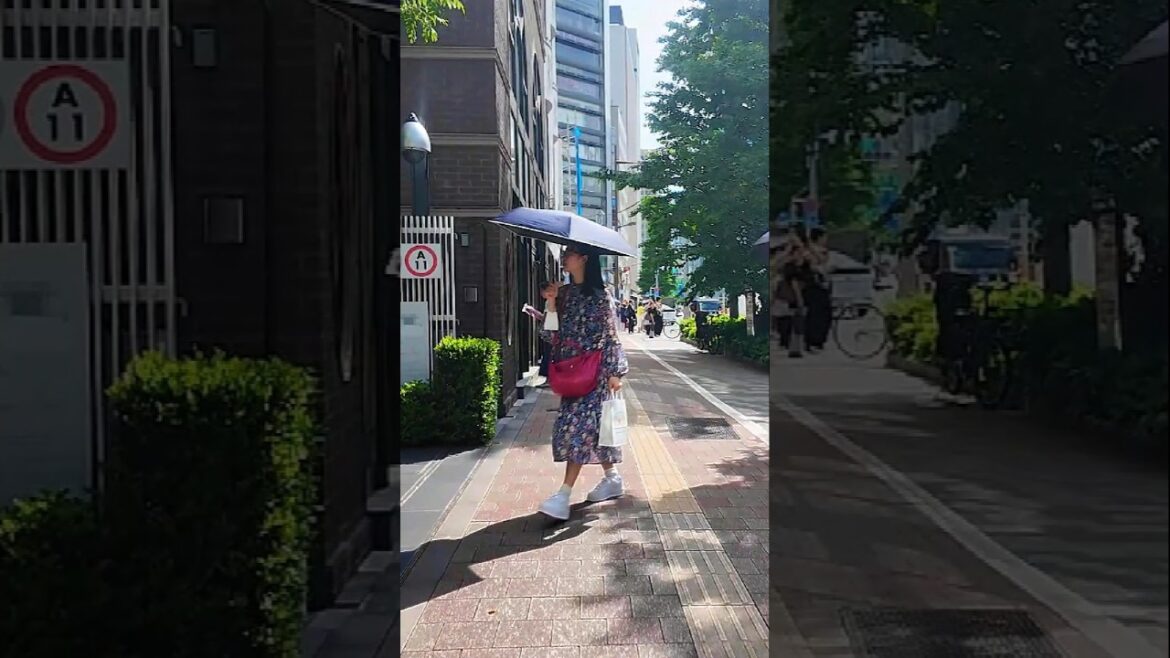 Walking Tour of Tsukiji & Ginza Shopping Streets – Best in Tokyo? #shorts #travel Walking Tour of Tsukiji & Ginza Shopping Streets – Best in Tokyo? #shorts #travel