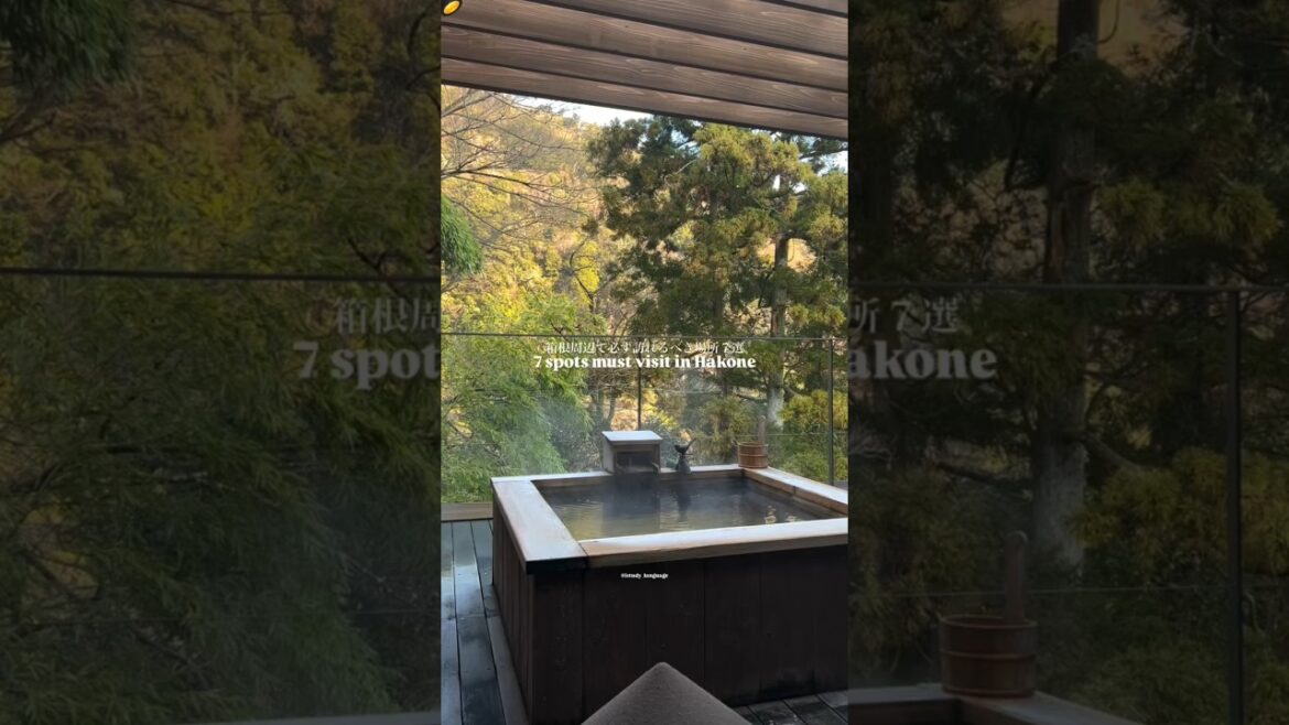 Hakone HIDDEN Gems You Won’t Believe Exist! Hakone HIDDEN Gems You Won't Believe Exist!